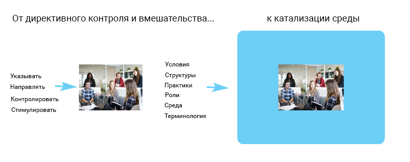 agile- лидеры