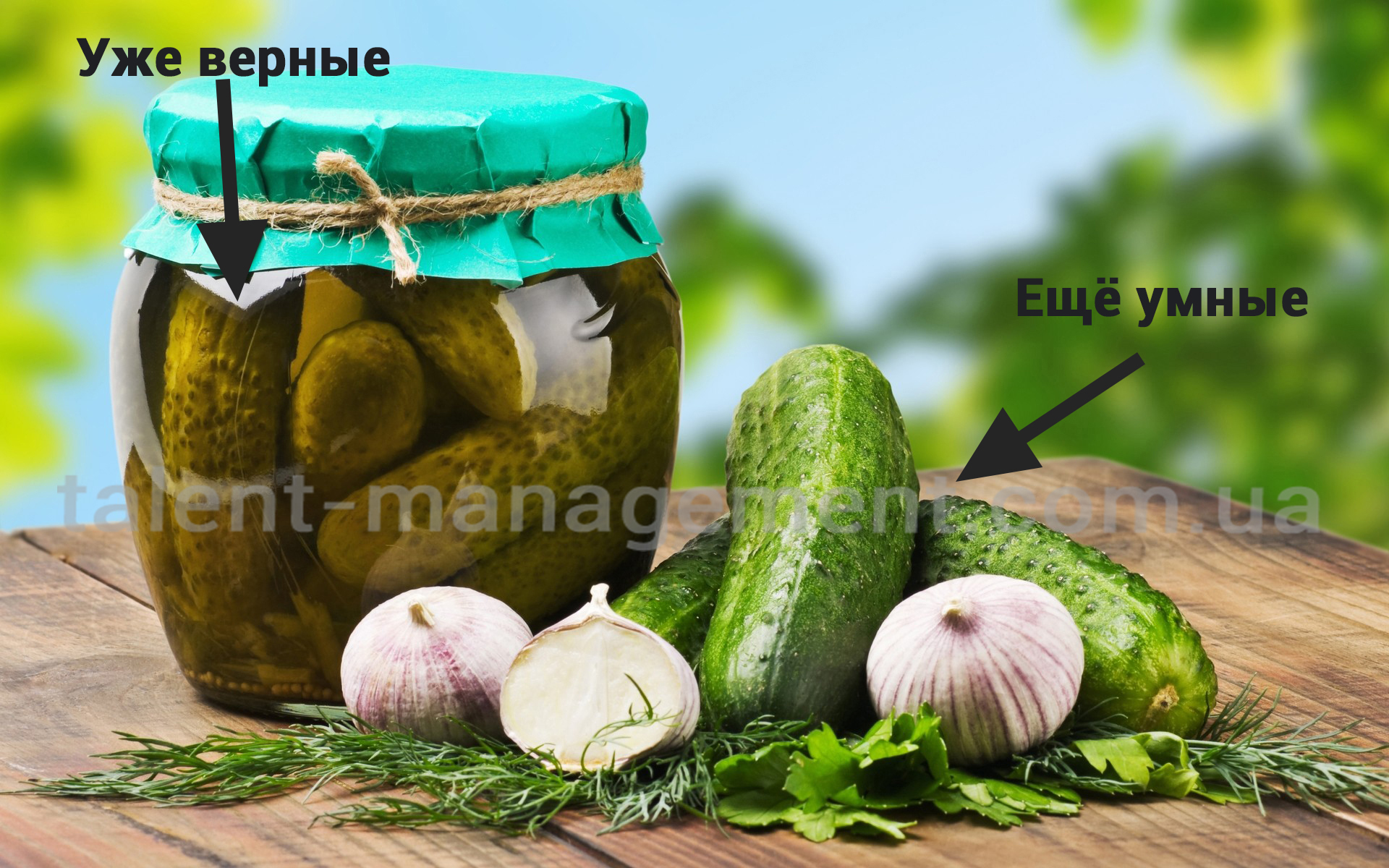 Правильный рекрутинг или культура