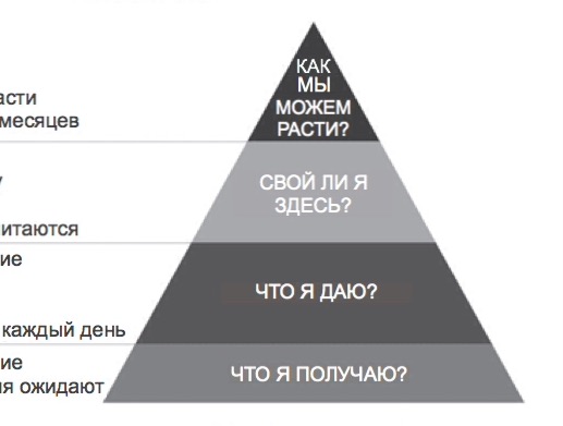 Вовлечённость